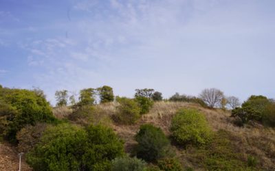 Trekking Culturale Rotariano, visita guidata al Testaccio e Monte dei Cocci