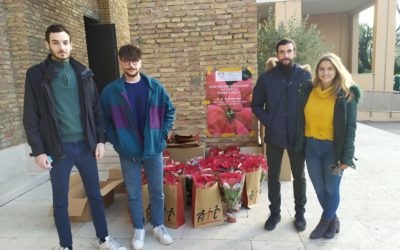 Vendita di stelle di Natale per l’AIL