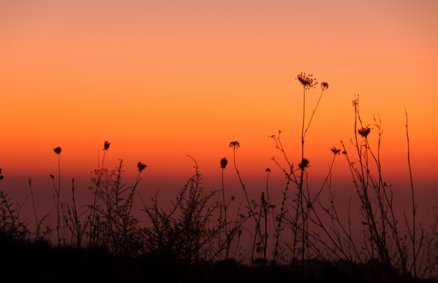 Magia di una notte di mezza estate